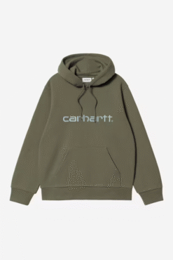 HOODED CARHARTT SWEATSHIRT LEAF/TOURMALINE